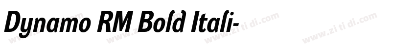 Dynamo RM Bold Itali字体转换